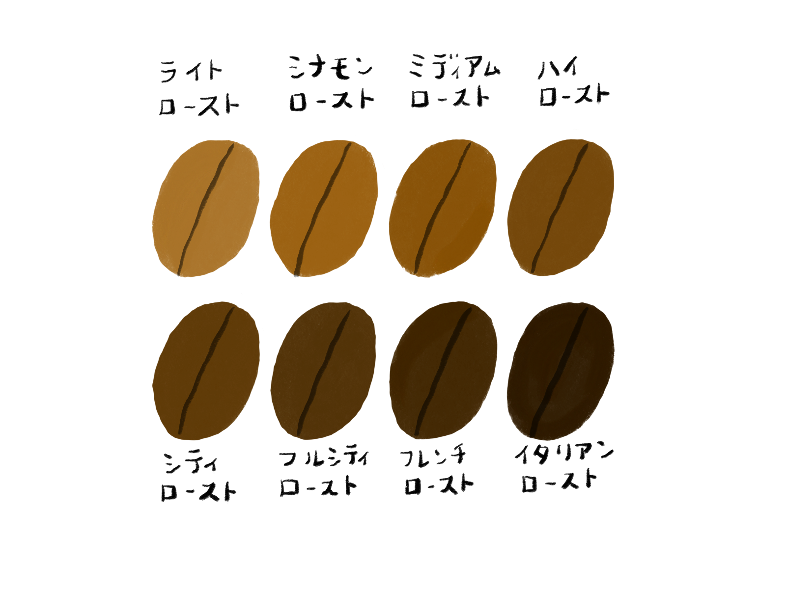 8段階の焙煎