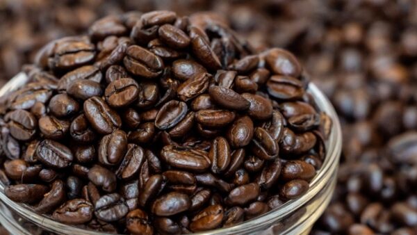 ● 03｜City Roast（シティロースト）