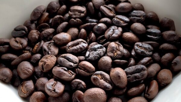 ● 02｜High Roast（ハイロースト）