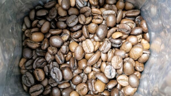 ● 01｜Medium Roast（ミディアムロースト）